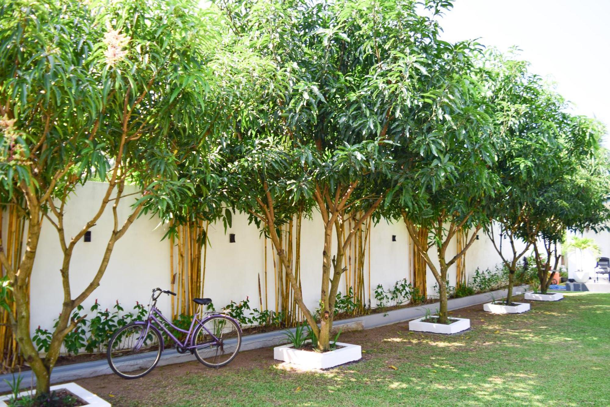 The Bamboo Tree Transit Hotel Катунаяка Экстерьер фото